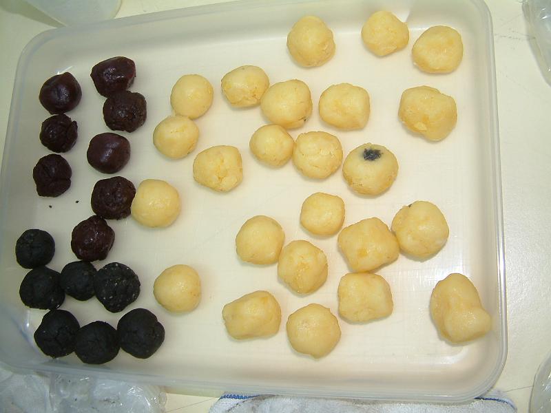 DSCF 072.jpg